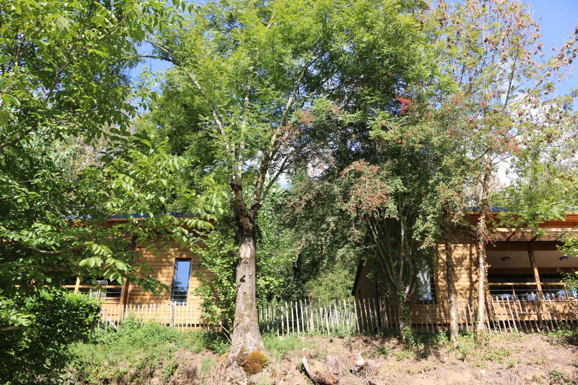 Camping Moulin De Chaules Saint-Constant Εξωτερικό φωτογραφία