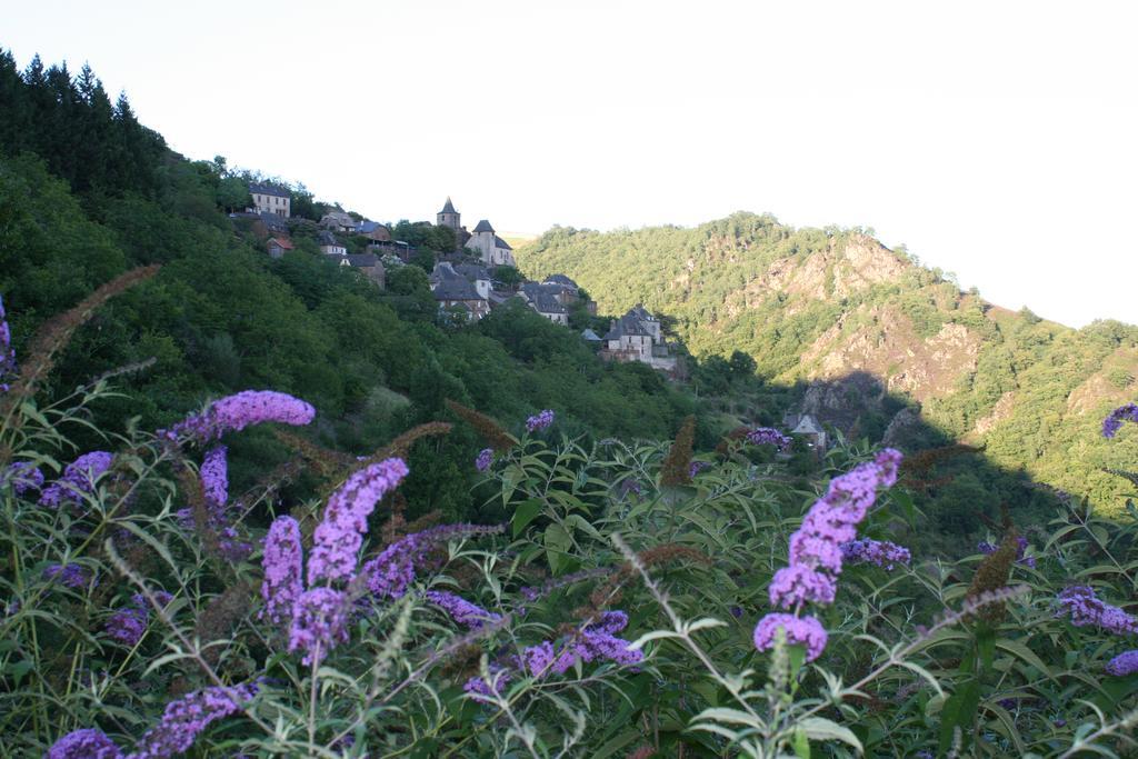 Camping Moulin De Chaules Saint-Constant Εξωτερικό φωτογραφία